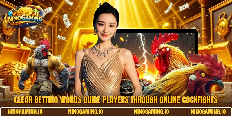 Clear betting words guide players through online cockfights