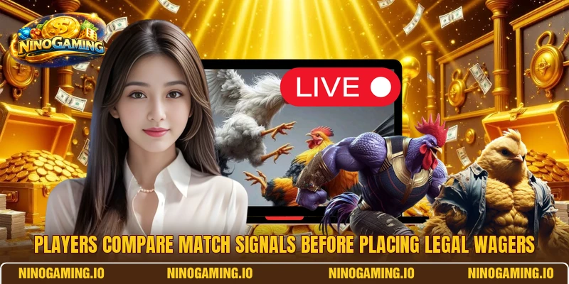 Players compare match signals before placing legal wagers