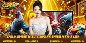 Spur Sharpening Tools – Compare Equipment For Spur Care